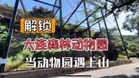 解锁大连森林动物园第一期。当一个动物园里有一座山，那会是一种怎样的场景呢？山对于动物园肯定是一种资源和优势，但是就看动物园怎么去利用了。