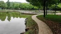 下雨天跑去看西峡的恐龙遗迹园，看到真的恐