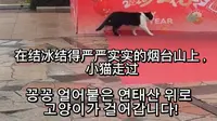 韩国人烟台旅行第3天第2集｜最后的特种兵行程