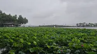 杭州西湖断桥