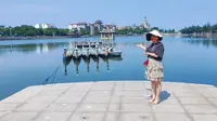 打卡厦门集美龙舟池