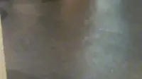 蒙福茂：【韦拔群纪念馆】拔群精神，永放光芒！