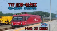 T17苇河-横道河子运转记录