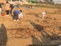 南沙明珠农业公园～最大窑鸡基地