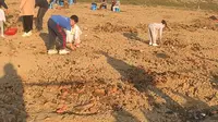 南沙明珠农业公园～最大窑鸡基地