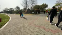 【4K】清明不下雨——上海福寿园祭扫漫步