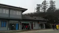 峨眉山接引殿的猴子 2017.4