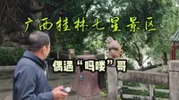 广西桂林七星景区，小东江边的自然秘境，返回路上偶遇一只吗喽哥