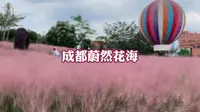 成都蔚然花海，绝美的粉黛，大片的格桑花，还有骆驼巡游，各种萌宠动物，遛娃好去处，#蔚然花海 #亲子游玩好去处 #成都周末很哇塞
