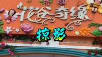 常州茅山景区的《花谷奇缘》美极了！