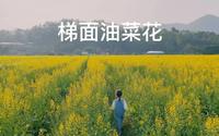 梯面红山村油菜花：开往春天的小火车已到站