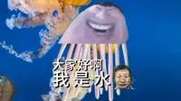 一口气看完太平洋海底世界博览馆♿️
