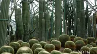 重庆南山植物园一日游