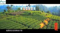 4A雅安蒙顶山旅游景区宣传片