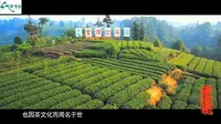 4A雅安蒙顶山旅游景区宣传片