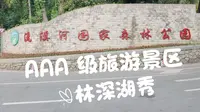 流溪河国家森林公园游玩攻略