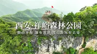 游西安秦岭祥峪森林公园，瀑布深潭群山环抱，爬山游玩好去处！