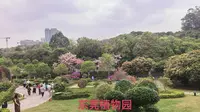 东莞植物园