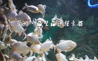 常州海昌海洋探索馆