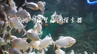 常州海昌海洋探索馆