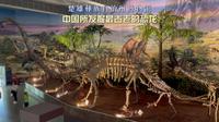 参观楚雄彝族自治州博物馆，被中国所发掘最古老的恐龙所震撼