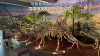 参观楚雄彝族自治州博物馆，被中国所发掘最古老的恐龙所震撼