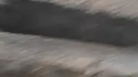 速通迎江寺振风塔