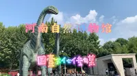 河南自然博物馆