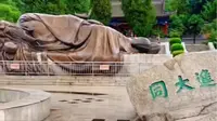 琪哥讲华山玉泉院