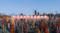上海周浦花海
