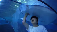 藏在森林里的海洋——南京海底世界