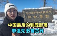 探访中国最后的驯鹿部落，根河市鄂温克族敖鲁古雅部落，了解他们的生活