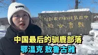 探访中国最后的驯鹿部落，根河市鄂温克族敖鲁古雅部落，了解他们的生活