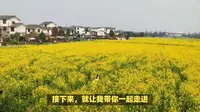 成都市农科村旅游景区：乡村旅游的瑰宝，等你来探寻！