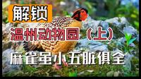 麻雀虽小五脏俱全的温州动物园，我为建在山顶的动物园贡献三万步。