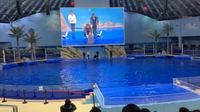 阜阳尧泰汉海海洋公园