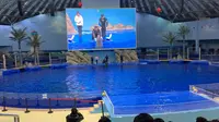 阜阳尧泰汉海海洋公园