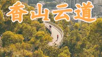 山中漫步|珠海香山云道vlog