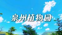《山水之间》记录生活中的美好瞬间--泉州植物园