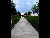 银川黄河外滩湿地公园