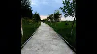 银川黄河外滩湿地公园