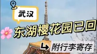 武汉东湖樱花园已回、分享真实攻略+行李寄存点
