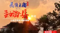 美丽云南（第二季）| 心向四海 茶通天下——美名：西双版纳·勐海县