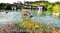 南宁市青秀山旅游区导游词