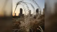 保定植物园半日游
