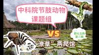 西双版纳植物园【动物爱好者】副本解锁：探秘中科院课题组+“潦草”两爬馆