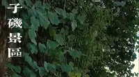 板子矶景区：在长江脊梁上触摸热血年轮