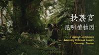 扶荔宫 昆明植物园 | EP10 | 云南烟火气