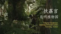 扶荔宫 昆明植物园 | EP10 | 云南烟火气