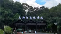普洱太阳河国家森林公园小熊猫庄园酒店